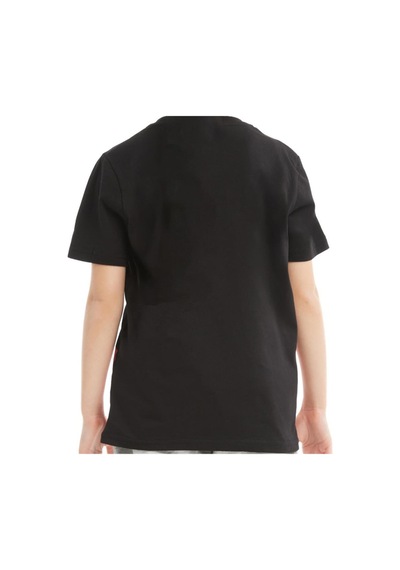Galatasaray Büyük Logolu Çocuk T-shirt Aslan Ahşap Kutulu 001