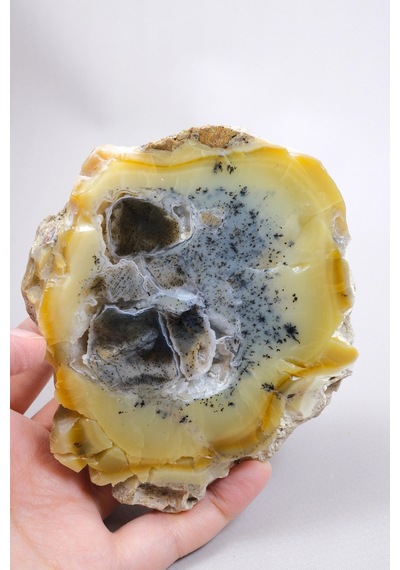 Bal-sarı Ve Buz-mavi Dendritik Opal Levha - Kuvars Jeot Boşlukları Ve Siyah Dendrit Tüyler, 377g