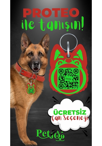 Petjoo 24.Proteo Yeşil-Kırmızı Qr'lı Köpek Künyesi