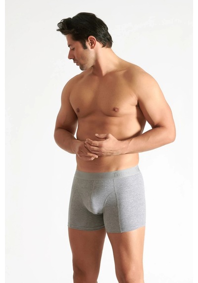 Hepsine Rakip 4 Lü Tutku İç Giyim Pamuklu Likralı Erkek Boxer 0114 Gri
