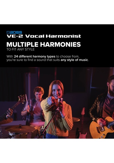 Boss Ve-2 Vocal Harmonist