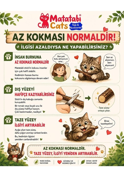 Ayrex Kedim İçin Matatabi Stick Ve Matatabi Oyuncak Seti 5 Parça