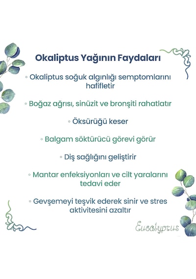 Npo Yogaroma Ferahlatıcı Aromaterapi 10ml Saf Ve Doğal Okaliptus Uçucu Yağ 10 ML