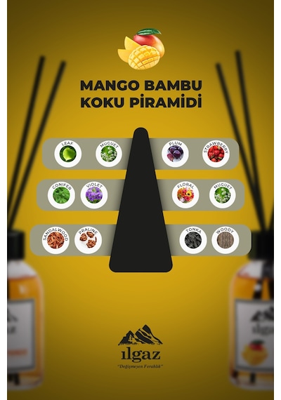 Ilgaz Reed Diffuser Oda Kokusu Bambu Çubuklu Tropikal Mango 110 ML