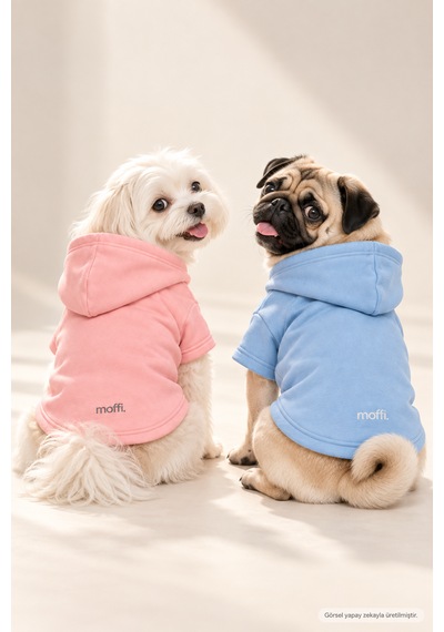 2'li Kız Ve Erkek Kedi Köpek Çift Kombini Kapüşonlu Sweatshirt Pembe & Mavi Kışlık Hoodie Seti