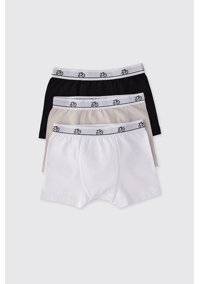 Panço Erkek Çocuk 3'lü Boxer Seti 2502bk14015 Renkli