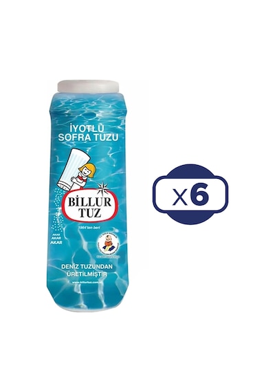Billur Tuz Plastik Tuzluklu 6 x 500 G