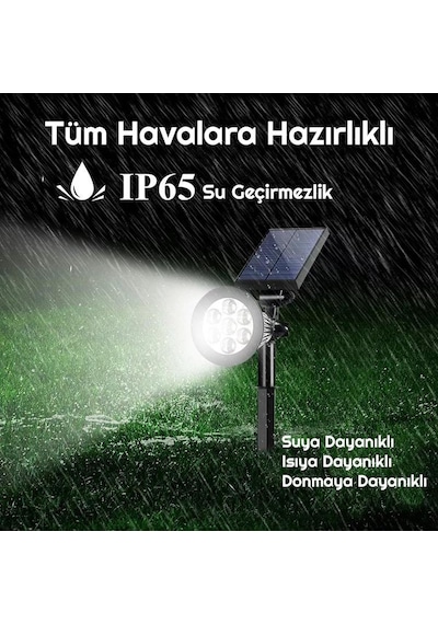 Exeo Solar Rgb Led Bahçe Aydınlatma Güneş Enerjili Lamba 1 Adet