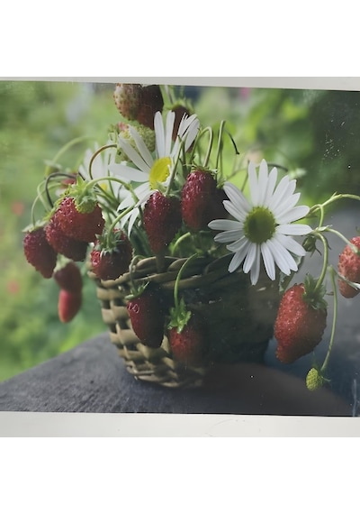 5d Yapışan Boncuk Goblen 30 X 40 Cm Mozaik Tablo Pano 60291 Diğer
