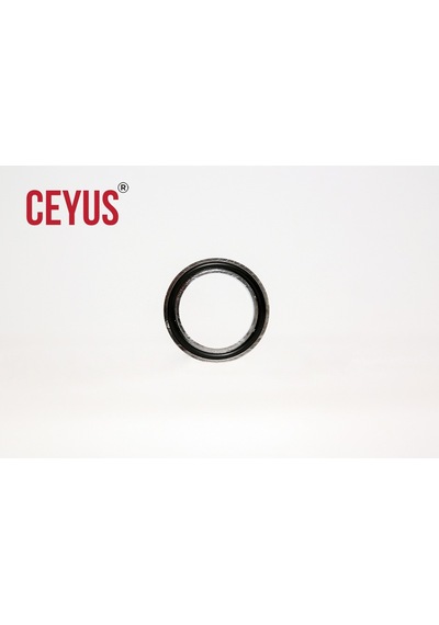 Ceyus Mutfak Evye Bataryası Taban Rozeti. Krom