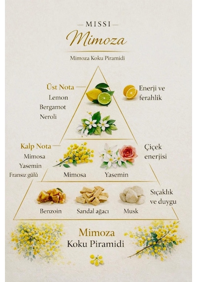 250 Ml Mimoza Yedek Esans Mimoza