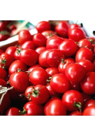 Doğal KahvaLılık Chery Domates Tohumu 5 GR