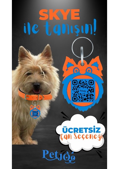 Petjoo 6.Skye Mavi-Turuncu Qr'lı Köpek Künyesi