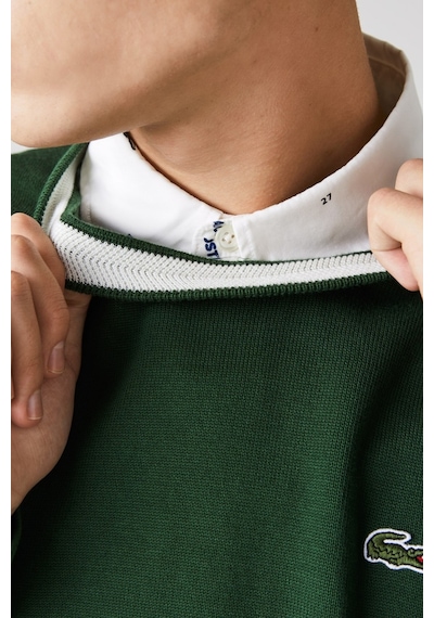 Lacoste Men's Regular Fit Crew Neck Dark Green Bisiklet Yaka Organik Pamuk Kazak Koyu Yeşil Koyu Yeşil Lacoste Men's Regular Fit Crew Neck Dark Green Bisiklet Yaka Organik Pamuk Kazak Koyu Yeşil Koyu Yeşil