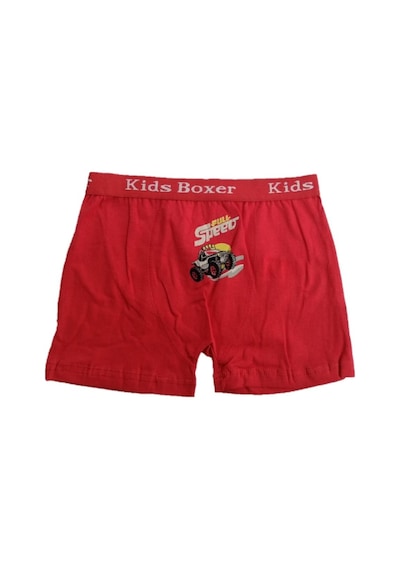 Sedef Yıldızı Sedef Yıldız Erkek Çocuk Likralı Boxer