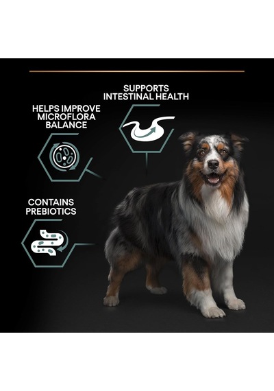 Medium Adult Kuzu Etli Köpek Maması 14 Kg