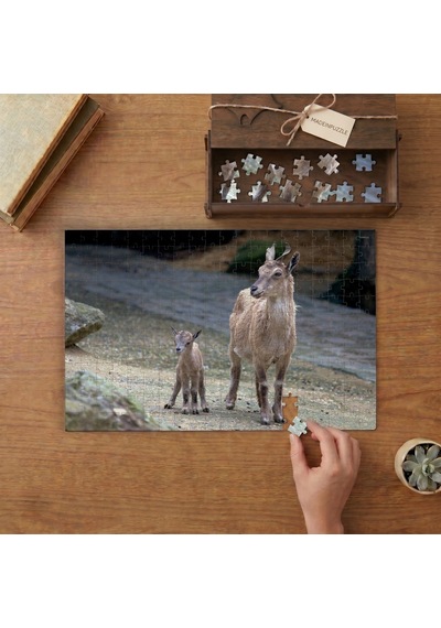 Anne Keçi Ve Yavrusu Tasarımı 240 Parça Ahşap Puzzle Ahşap Kutuda Mpy40405