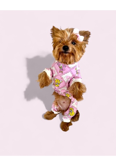 Teddy Toad Penye Köpek Tulum Pijama