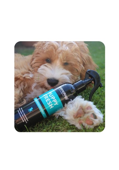 Animology Puppy Fresh Kötü Koku Giderici Yavru Köpek Bakım Spreyi 250 Ml