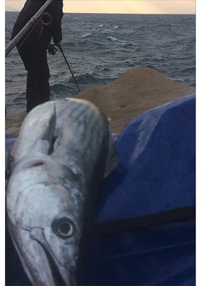 Shore Pro 40g - Palamut Lüfer Levrek Turna Için Jig Yem
