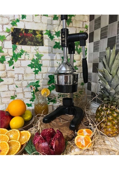 1800 Meyve Presi Professıonal Dropper Type Fruıt Press
