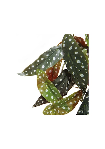 Yapay Fil Kulağı Sarmaşık Demeti 55 cm