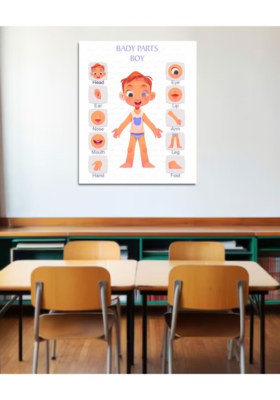 Vücut Bölümleri Poster İngilizce Pvc Kaplı 30x42 Cm Erkek Çok Renkli