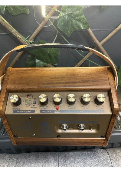 Crush20 20w Taşınabilir Şarjlı Amfi Bluetooth , Mikrofon Girişli, Reverb Efektli, 2 Kanallı