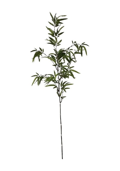 T.concept Dekoratif Yapay Bambu Dal 160 Cm 1 Adet