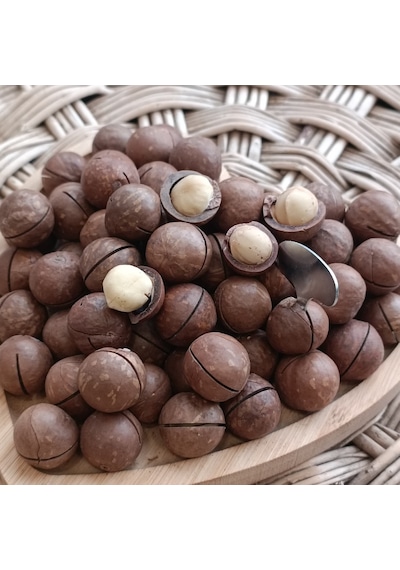 Toptan Kabuklu Kavrulmuş Makademya Fındığı 10 Kg 10 KG