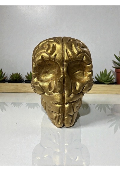 Beyin Figürlü Dekoratif Biblo Modern Tasarım Masa Üstü Obje 15 Cm