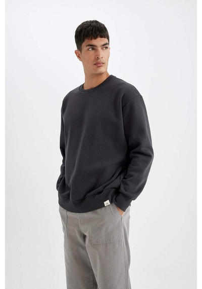 DeFacto Oversize Geniş Kalıp Bisiklet Yaka Kalın Basic Düz Sweatshirt T5139AZ24AUAR191 DeFacto Oversize Geniş Kalıp Bisiklet Yaka Kalın Basic Düz Sweatshirt T5139AZ24AUAR191