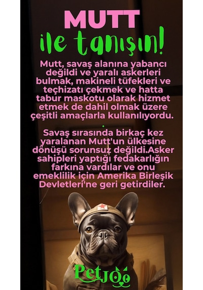 Petjoo 10.Mutt Yeşil-Pembe Qr'lı Köpek Künyesi