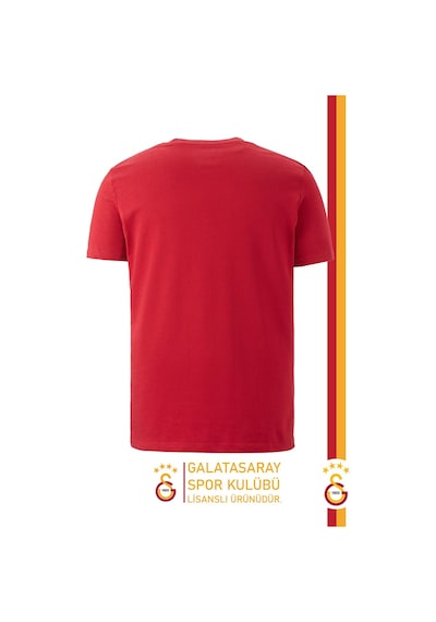 Galatasaray Lisanslı Arma T-shirt Gs Aslan Baskılı Ahşap Kutulu 100 Kırmızı