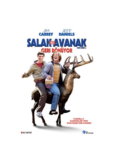 Dumb & Dumber To - S Alak İle Avanak Geri Dönüyor (Dvd)