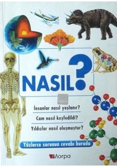 Nasıl: Sihirli Sorular Yüzlerce Sorunun Cevabı Burada N11.2011