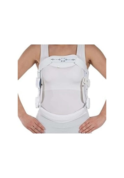Hiperekstansiyon Korse Lüks Jeweet Gövde Yüksekliği 54-60 Cm Large