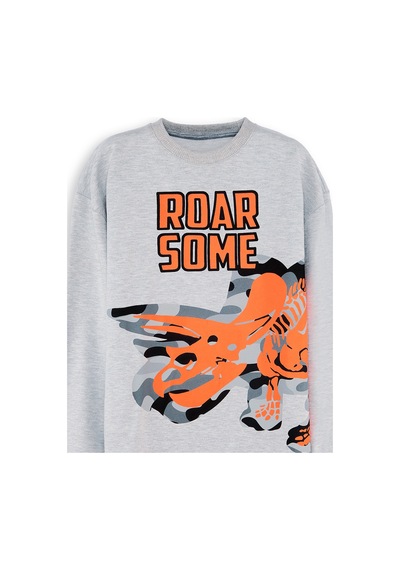 Denokids Roar Erkek Çocuk Sweatshirt - Gri