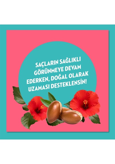 Elidor Saç Bakım Kremi Doğanın Enerjisi Argan Yağı & Hibiskus Özü 350 Ml