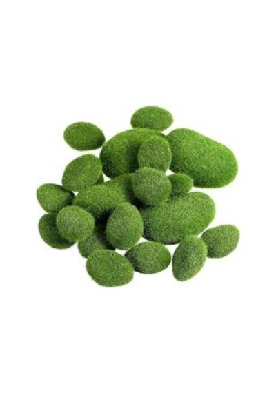 Yosun Topu Moss Ball 1 Ad Çap 2 Cm