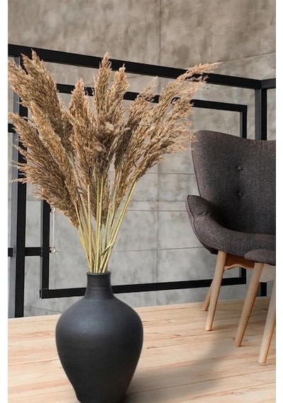 Alyones 10 Adet Natural Kabarık Pampas Diğer