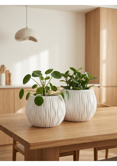 Kaveld Stone Calm El Yapımı Dekoratif Seramik Görünümlü Saksı Çizgi Kabartmalı Minimalist Iç Mekan Saksısı Salon Balkon Ofis Çiçeklik Ev Dekoru Beyaz Kaveld Stone Calm El Yapımı Dekoratif Seramik Görünümlü Saksı Çizgi Kabartmalı Minimalist Iç Mekan Saksısı Salon Balkon Ofis Çiçeklik Ev Dekoru Beyaz