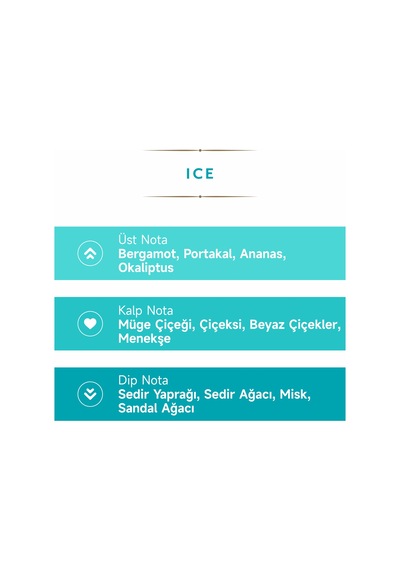 Mad 80 Derece Ice Kolonya 200 ML