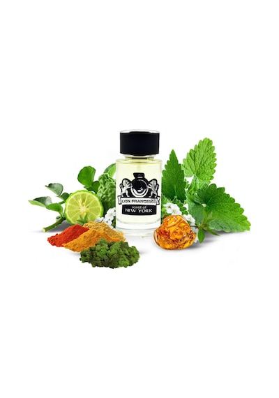 Lion Francesco Scent Of New York Erkek Parfüm EDP 50 ML