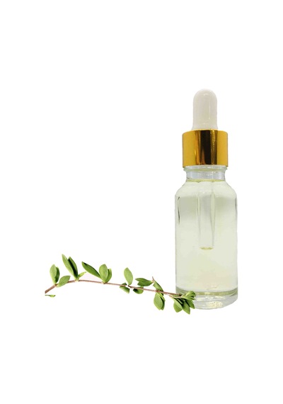 Dara Çay Ağacı Yağı 20 ML