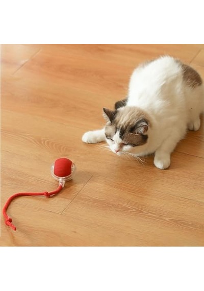 Somonlu Kedi Sı 15 Kg 100 G