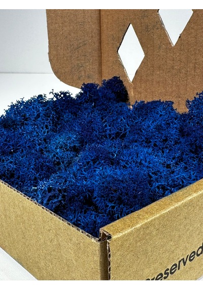 Reindermoss Şoklanmış Norveç Yosunu Terarium Yosunu Mavi 100 Gr.