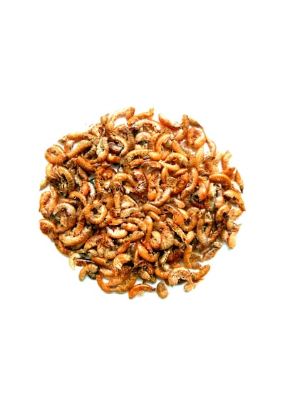 Lotus Gammarus Turtle 250 ml Kaplumbağa Yemi