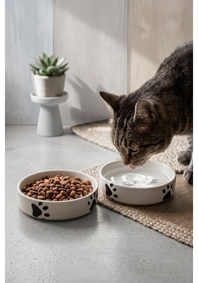 2 Li Seramik Kedi Köpek Mama Ve Su Kabı 13 Cm 300 Ml Pati Ve Kılçık Desenli