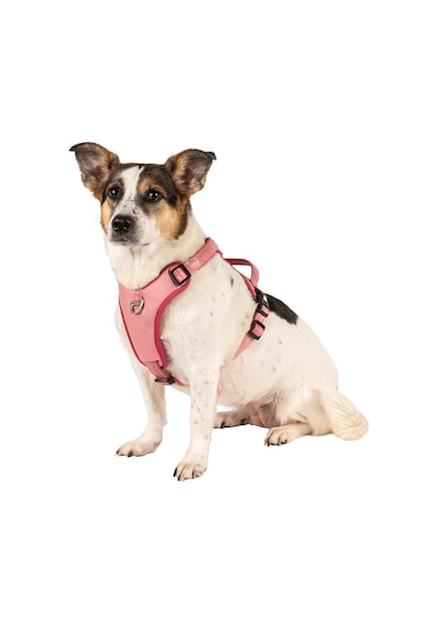 Max & Molly Urban Pets Matrix 2.0 Akıllı Künyeli Sport Köpek Göğüs Tasması Üstün Kontrol Ve Konfor Rose, Çok Renkli